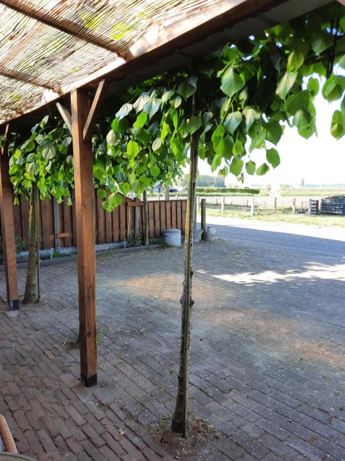 Апартаменты Anneke'S Bed En Botterhammeke Woensdrecht Экстерьер фото